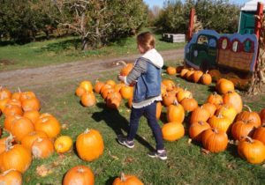 j-with-pumpkins